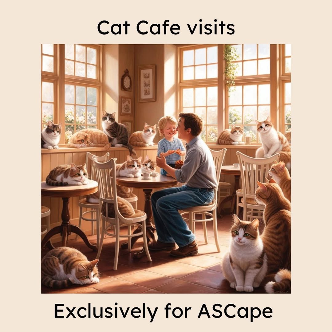Cat Cafe